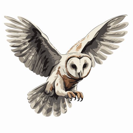 Téléchargez les illustrations : Illustration d'une chouette aux ailes déployées sur fond blanc. - en licence libre de droit