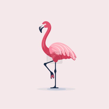Illustration for Flamingo. Vector illustration in cartoon style. Isolated on white background. - Royalty Free Image