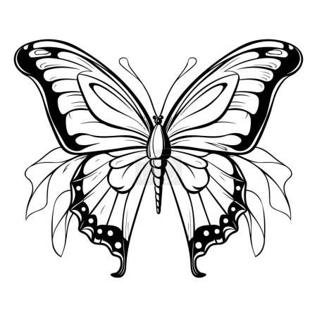 Téléchargez les illustrations : Papillon sur fond blanc. Illustration vectorielle pour votre design - en licence libre de droit