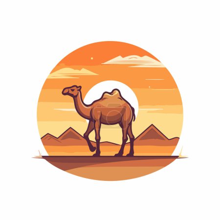Kamel in der Wüste. Vektorillustration auf weißem Hintergrund.