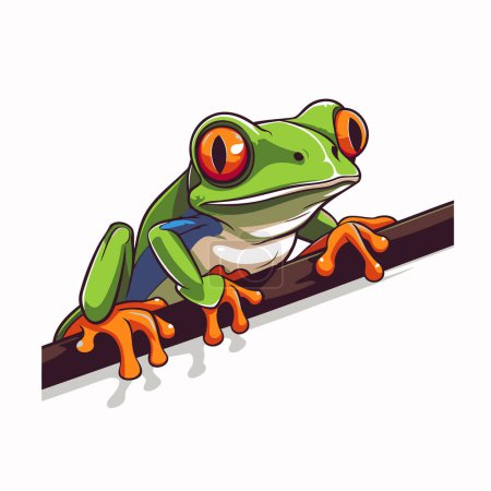 Frog on a branch. Vector illustration on a white background.
