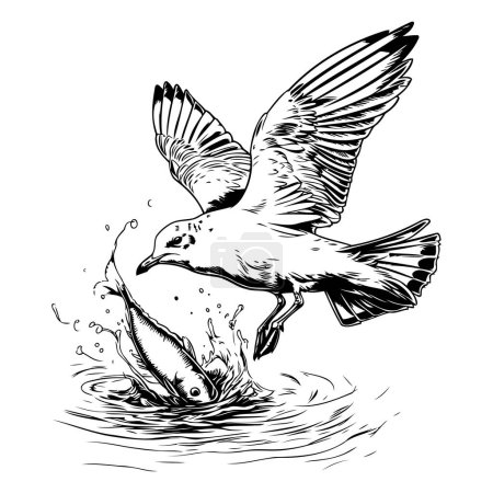 Téléchargez les illustrations : Mouette volante avec des poissons. Illustration vectorielle noir et blanc. - en licence libre de droit