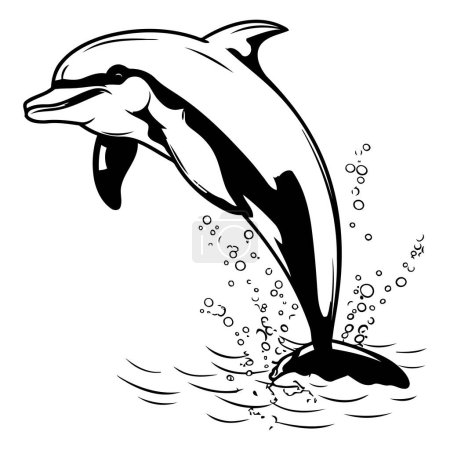 Ilustración de Delfín saltando del agua. Ilustración vectorial en blanco y negro. - Imagen libre de derechos