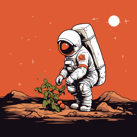 Illustration for Astronaut with a tomato. Vector illustration in retro style. - Royalty Free Image
