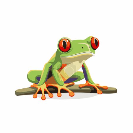 Frog isolated on white background. Vector illustration. Cartoon frog.