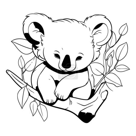 Ilustración de Lindo koala sentado en la rama de eucalipto. Ilustración vectorial dibujada a mano. - Imagen libre de derechos