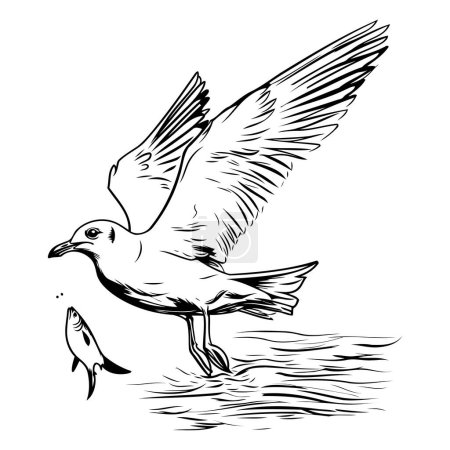Téléchargez les illustrations : Mouette volant au-dessus de l'eau. Illustration vectorielle noir et blanc. - en licence libre de droit