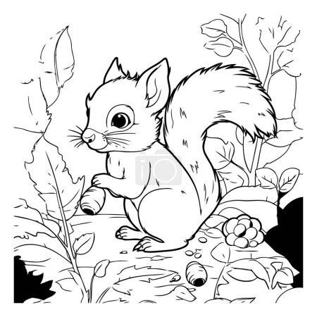 Téléchargez les illustrations : Écureuil dans la forêt. Illustration vectorielle noir et blanc pour livre à colorier - en licence libre de droit