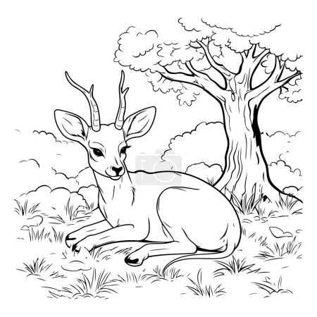 Téléchargez les illustrations : Cerf assis sur l'herbe. Illustration vectorielle noir et blanc. - en licence libre de droit