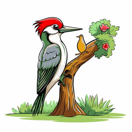 Illustration for Dryocopus martius. Woodpecker on tree. Vector illustration. - Royalty Free Image