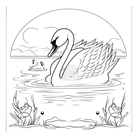 Téléchargez les illustrations : Cygne sur le lac. Illustration vectorielle noir et blanc pour livre à colorier. - en licence libre de droit