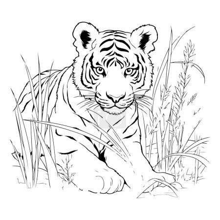 Téléchargez les illustrations : Tigre assis dans l'herbe. Illustration vectorielle noir et blanc pour livre à colorier. - en licence libre de droit
