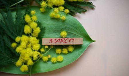 le mot mars écrit sur un bloc de bois couché sur une feuille verte entourée de fleurs de mimosa. concept possible. calendrier, saison, lieu de texte, publicité rabais printemps.