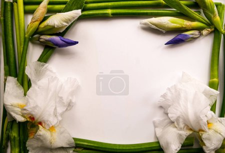 original frame made of natural iris flowers in white and lilac with free space for text. possible concept: greeting card, invitation card, advertising.