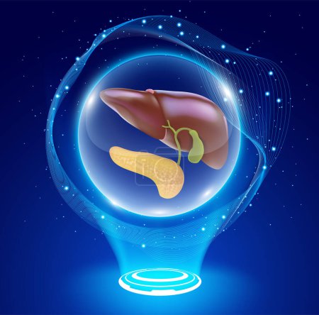 Ilustración 3D del hígado humano y el páncreas en una bola de cristal, como un paciente de hígado esperando un milagro de un donante de hígado.