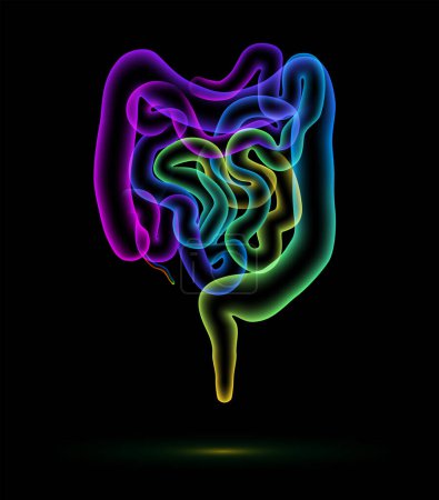 Ilustración del colon humano y el intestino delgado presentado en forma de globos de colores que se apilan juntos para crear los contornos de los órganos abdominales. Utilizado en medicina, educación, comercio, industria y ciencia.
