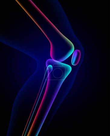Illustration for 3D illustration of colorful knee bones in x-ray format on a dark blue background. - Royalty Free Image