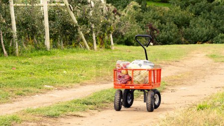 Chariot rouge dans un champ, chariot à la ferme, nature, froid, verdure, bois, sentier, route.