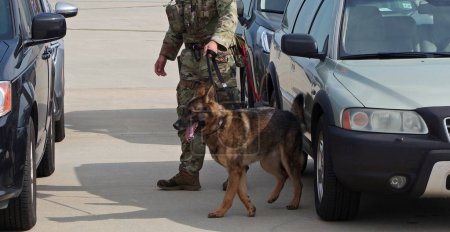 Foto de McGUIRE AIR FORCE BASE-WRIGHTSTOWN, NEW JERSEY, USA-21 DE MAYO DE 2023: Un perro de trabajo militar y su controlador son vistos durante la Exposición a cielo abierto de 2023. - Imagen libre de derechos