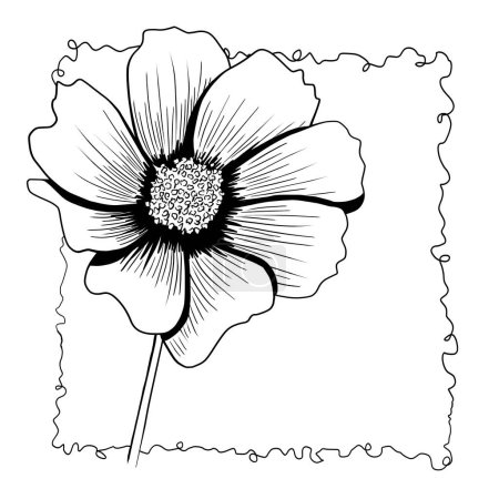 line ink drawing of cosmos flower in black and white as greeting card