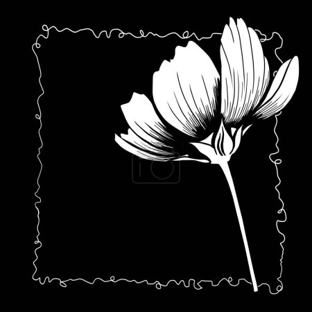 line ink drawing of cosmos flower on black background as greeting card