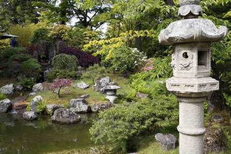 Schöner traditioneller japanischer Garten im Golden Gate Park in San Francisco, Kalifornien