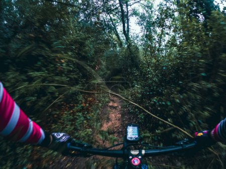 Fährt schnell ein Mountainbike in einem einspurigen Wald verschwommene Bewegung Fahrer Blickwinkel