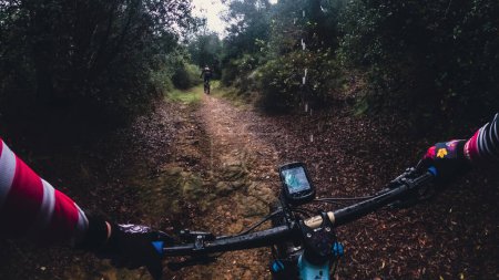 Racing with a mountain bike on a single track forest landscape chasing another biker in the woods