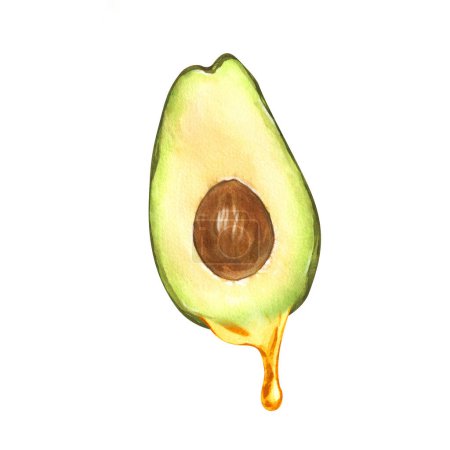 Photo for Watercolor ripe avocado oil dripping from avocado fruit. Hand-drawn illustration isolated on white background. Perfect concept food menu, food drawing, design packing, healthy eating. - Royalty Free Image