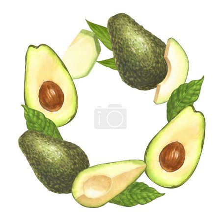Photo for Watercolor round frame, ripe avocado and halves avocado. Hand-drawn illustration isolated on white background. Perfect concept food menu, food drawing, design packing, healthy eating. - Royalty Free Image