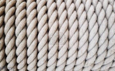 Photo for Spiral rope of a large animal with a black eye. - Royalty Free Image