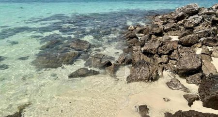 Foto de La fotografía del mar - las rocas de la costa y el agua clara en un día soleado. - Imagen libre de derechos