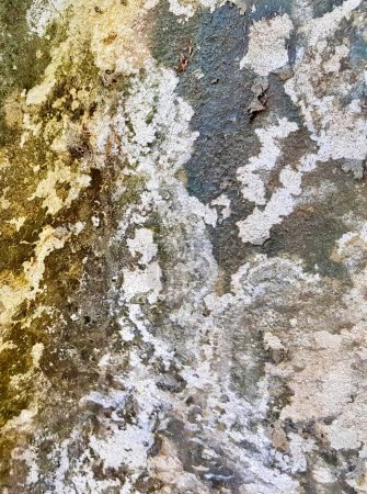 Photo for A photography of a dirty wall with a yellow and white paint, concrete wall with a peeling paint and a green and white paint. - Royalty Free Image
