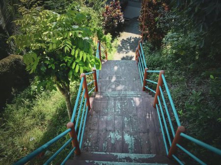 Photo for A photography of a wooden staircase leading to a lush green garden, view of a wooden stairway leading to a lush green garden. - Royalty Free Image