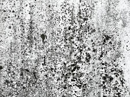 Photo for A photography of a dirty wall with a lot of black spots, a black and white photo of a dirty wall with some dirt. - Royalty Free Image