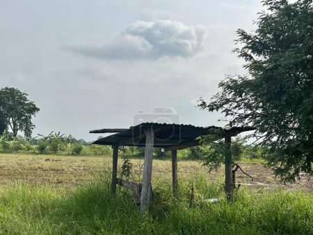 Photo for A photography of a small shelter in a field with a tree, there is a small shelter in the middle of a field. - Royalty Free Image