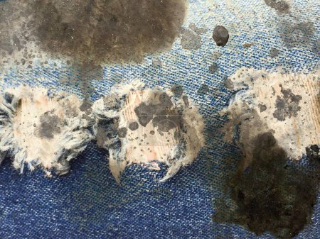 Photo for A photography of a dirty carpet with a dog paw print on it, dog paw prints on a blue cloth with a hole in the middle. - Royalty Free Image