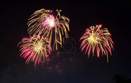 Téléchargez les photos : Une photographie d'un couple de feux d'artifice qui sont dans le ciel, feux d'artifice sont allumés dans le ciel sombre au-dessus d'un parc. - en image libre de droit