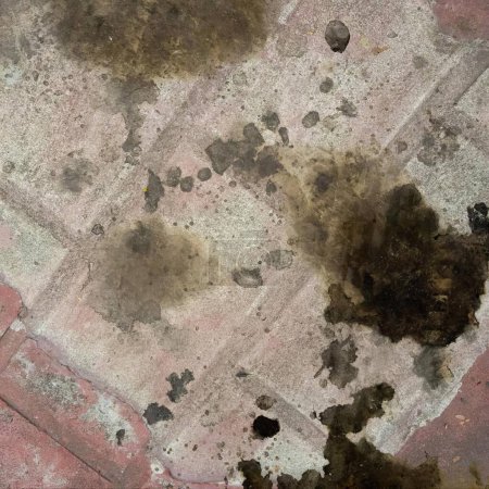 Photo for A photography of a dirty floor with a lot of dirt on it, area of cement with a lot of dirt on it. - Royalty Free Image