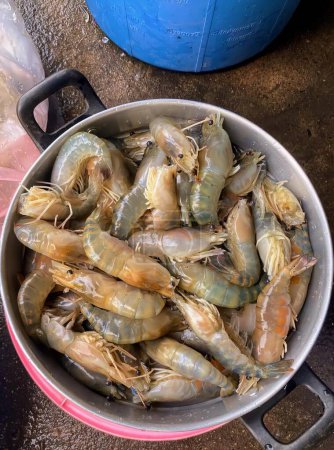 Téléchargez les photos : Une photographie d'un pot de crevettes assis sur une table, chaudron de crevettes dans un pot sur une table. - en image libre de droit