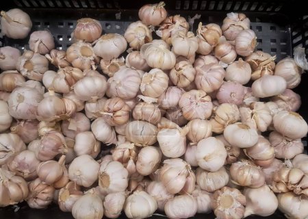 Photo for A photography of a bunch of garlic sitting in a basket, dutch oven with garlic in it. - Royalty Free Image