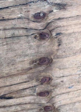 Foto de Una fotografía de una mesa de madera con un montón de agujeros en ella, agujeros de clavos en un tronco de árbol que ha sido cortado. - Imagen libre de derechos
