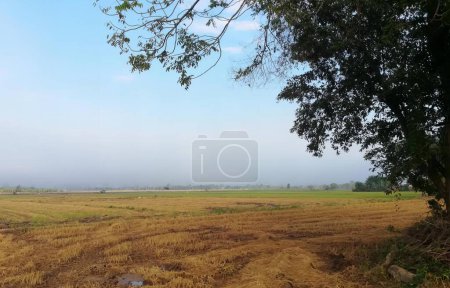 Foto de Una fotografía de un campo con un árbol y unas cuantas vacas, valle con unos pocos árboles y un poco de hierba en el medio. - Imagen libre de derechos