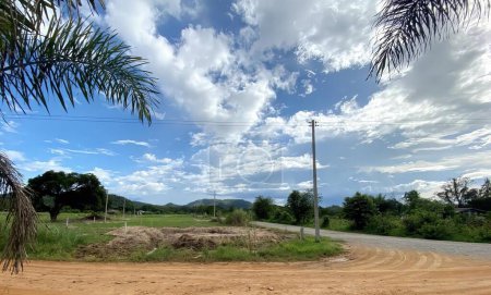 Photo for A photography of a dirt road with a dirt mound in the middle, horse - cart on dirt road with palm trees and blue sky. - Royalty Free Image