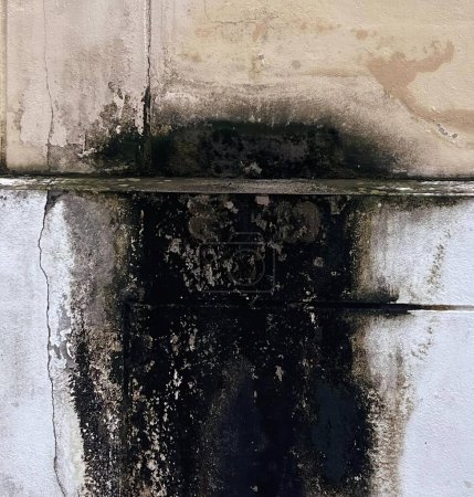 Foto de Una fotografía de una boca de incendios con una sustancia negra en ella, cubos de agua están sentados en una repisa frente a una pared. - Imagen libre de derechos