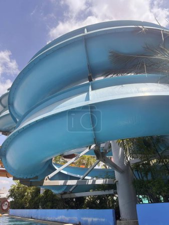 Photo for A photography of a water slide in a pool with a palm tree. - Royalty Free Image