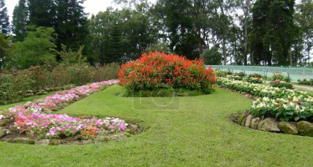 Photo for A photography of a garden with a circular flower bed and a walkway. - Royalty Free Image