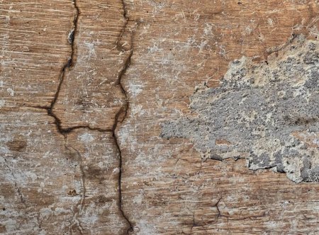 Téléchargez les photos : Texture d'un tronc d'arbre avec peinture fissurée et fissurée. - en image libre de droit