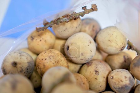 Téléchargez les photos : Pommes de terre sont exposées dans un sac en plastique. - en image libre de droit