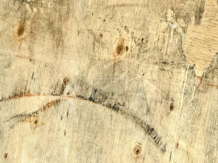 Téléchargez les photos : La texture d'un tronc d'arbre
. - en image libre de droit